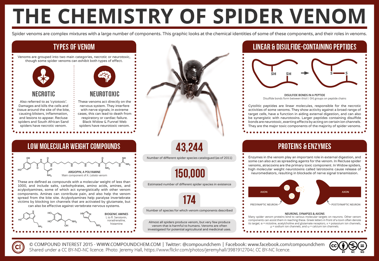 Химия ядов пауков