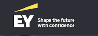 Ernst & Young LLC