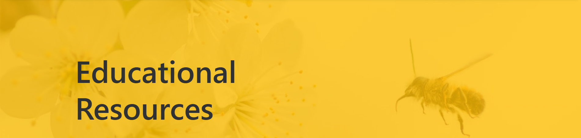 Educational Resources – Pharmabees | Cardiff University Pharmabees