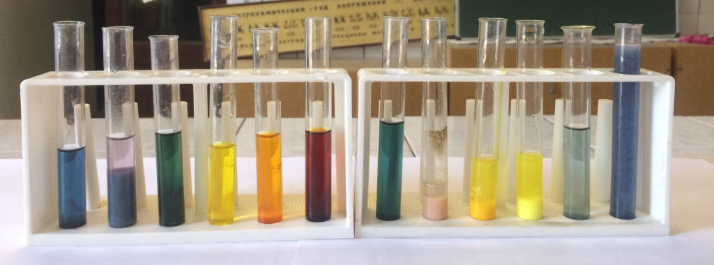 HISTORY OF THE DEPARTMENT