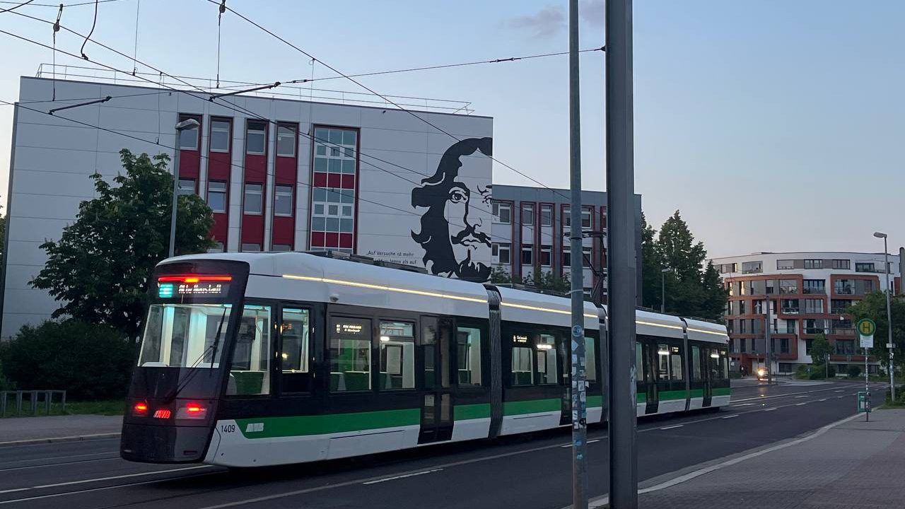 16