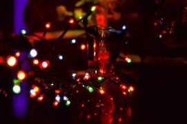 20141226-DSC_2637
