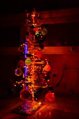 20141226-DSC_2667