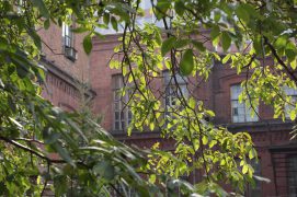 studenty-kafedry-organicheskogo-sinteza-2015-IMG_2678