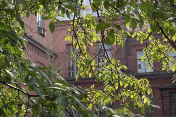 studenty-kafedry-organicheskogo-sinteza-2015-IMG_2678