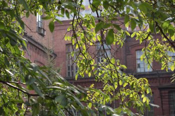 studenty-kafedry-organicheskogo-sinteza-2015-IMG_2678