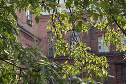 studenty-kafedry-organicheskogo-sinteza-2015-IMG_2678