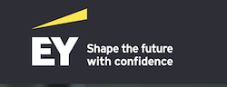 Ernst & Young LLC